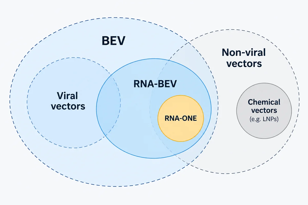 A large BEV circle contains the viral vectors circle and part of the non-viral vectors circle. RNA-BEV sits inside BEV and holds RNA-ONE. Chemical vectors such as LNPs stay outside BEV.