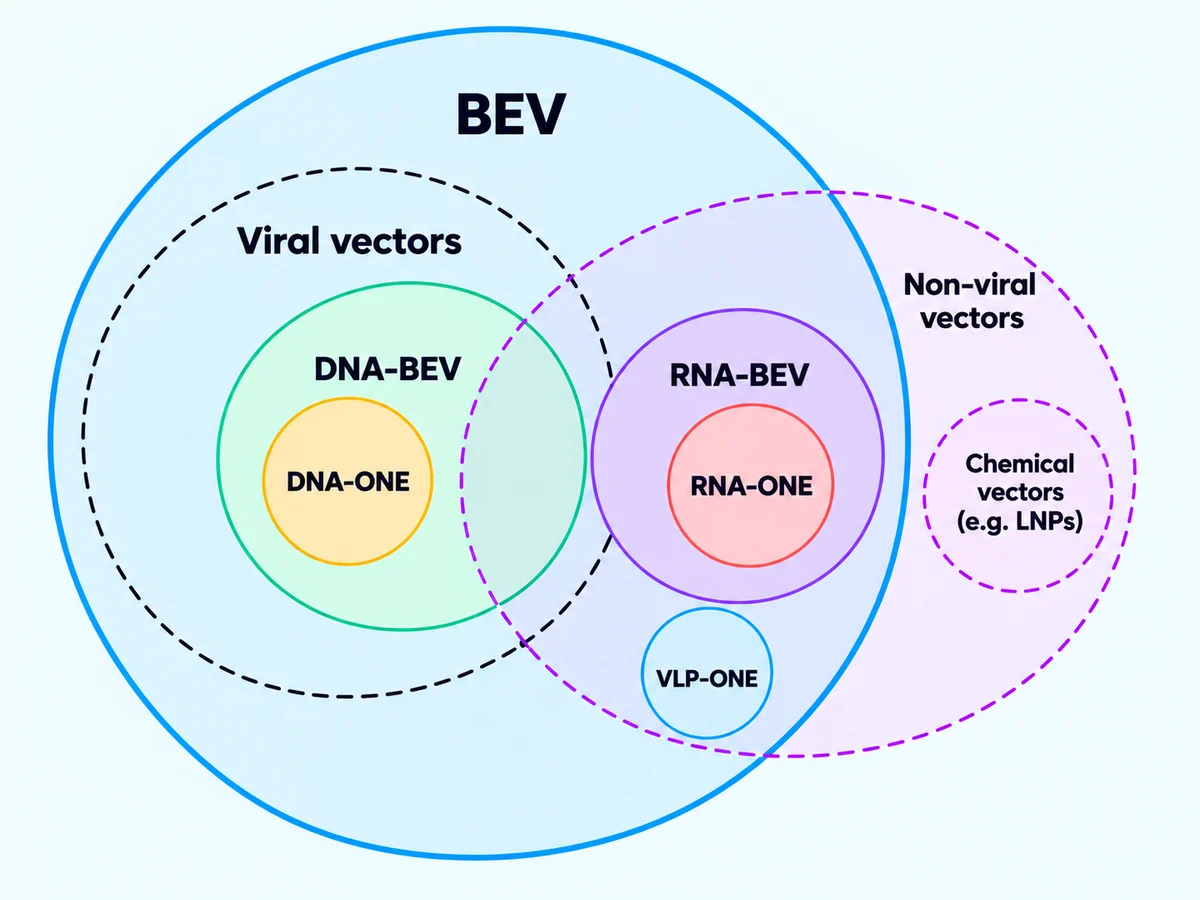 A large BEV circle contains the viral vectors circle and part of the non-viral vectors circle. Inside it, DNA-BEV holds DNA-ONE and RNA-BEV holds RNA-ONE, with VLP-ONE below them. Chemical vectors such as LNPs stay outside BEV.