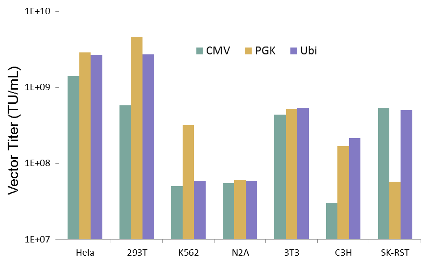 Influence of promoter on transgene expression