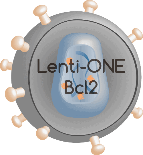 Lenti-ONE Bcl-2