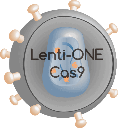 Lenti-ONE Cas9
