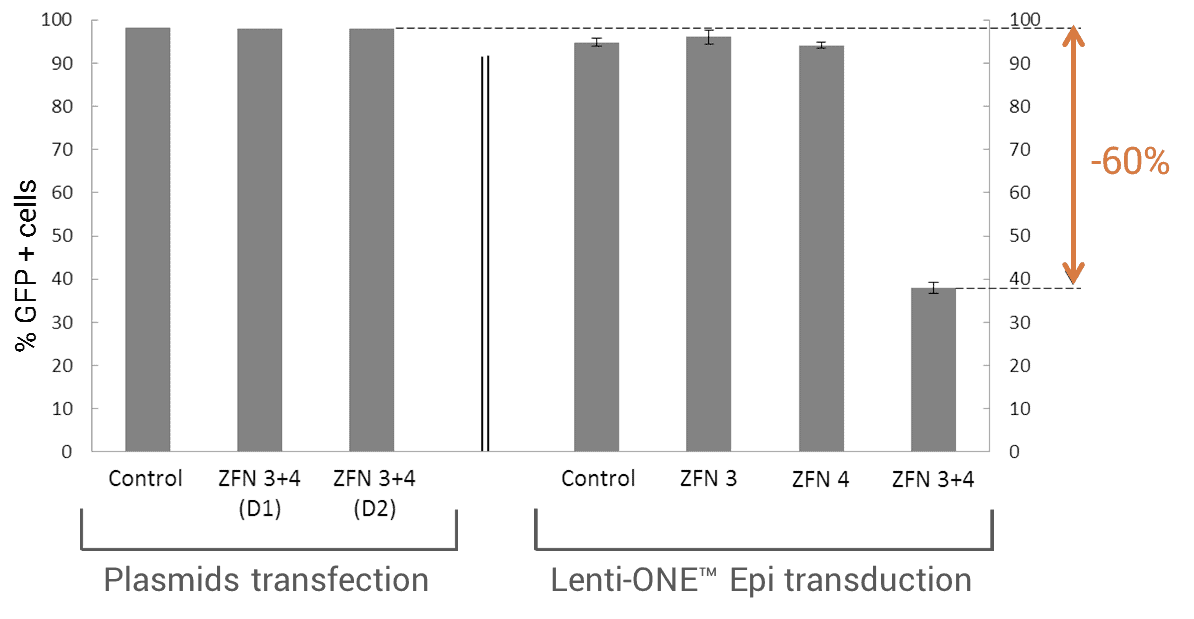 PLASMIDS TRANSFECTIONS V.S. Lenti-ONE