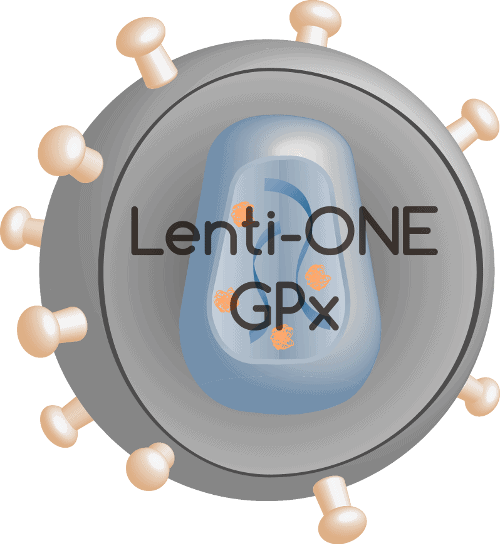 Lenti-ONE GPx