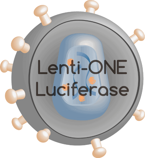 Lenti-ONE Luc