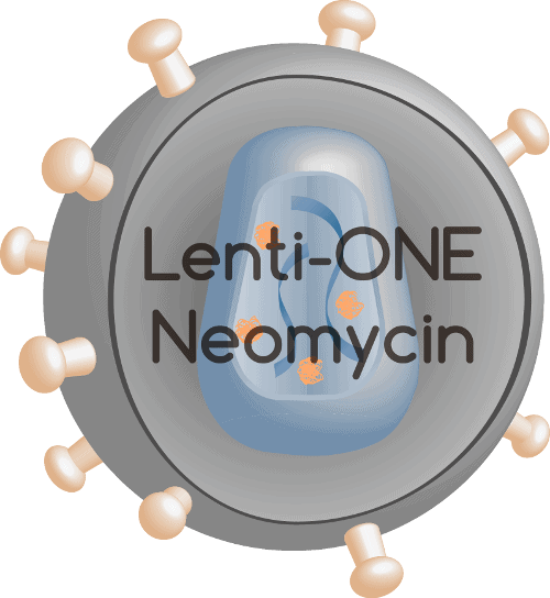 Lenti-ONE Neo