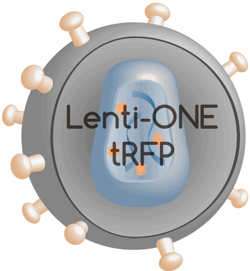 Lenti-ONE RFP