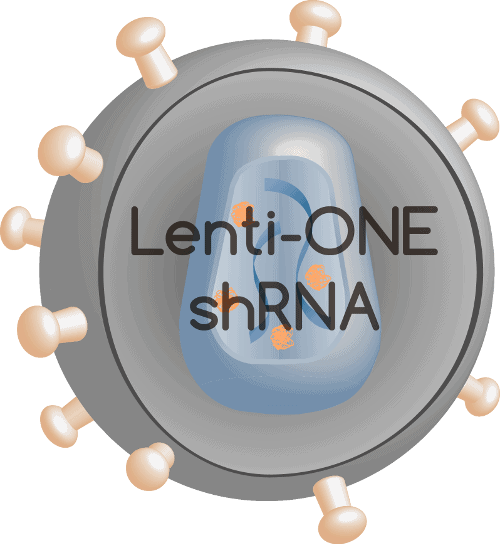 Lenti-ONE shRNA
