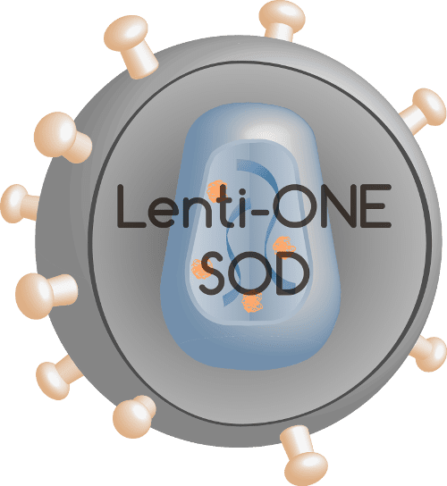 Lenti-ONE SOD