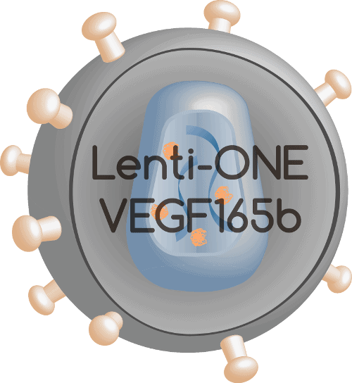 Lenti-ONE VEGF165b