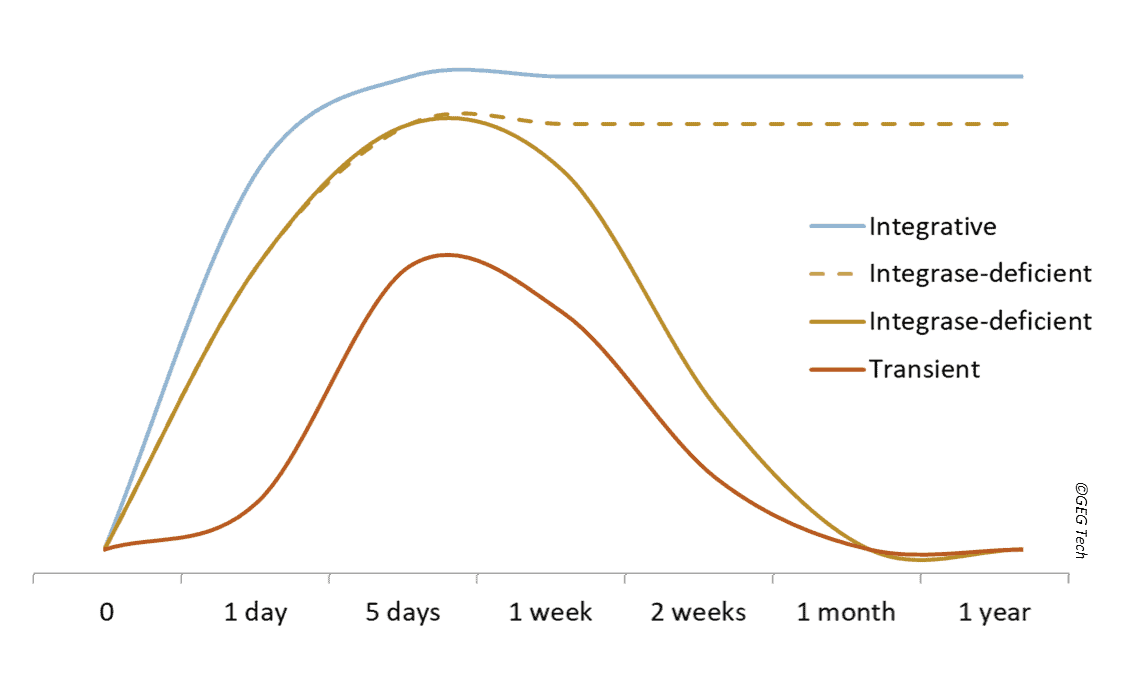 Kinetics of Expression -