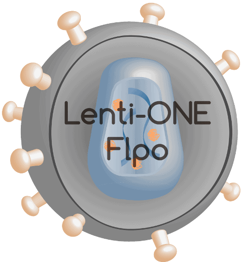 lenti-flpo