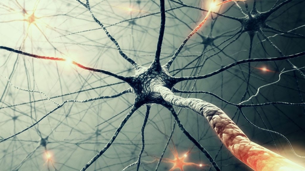 Modified version of CAR T-cell therapy shows promise in targeting neuroblastoma 1 - GEG Tech Modified version of CAR T-cell therapy shows promise in targeting neuroblastoma - Blog, Cancer immunotherapy