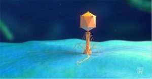 Promising Data From First-Ever CRISPR Phage Therapy Trial 1 - GEG Tech Promising Data From First-Ever CRISPR Phage Therapy Trial - Blog