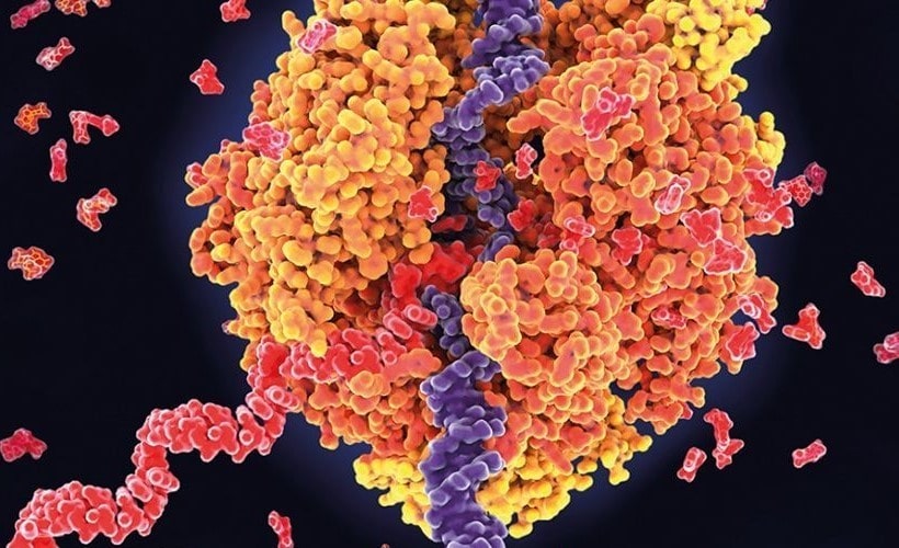 mRNA-Based CAR T-Cell Therapy Descartes-11 Moves Into Phase 2 Trial in Myeloma - Blog