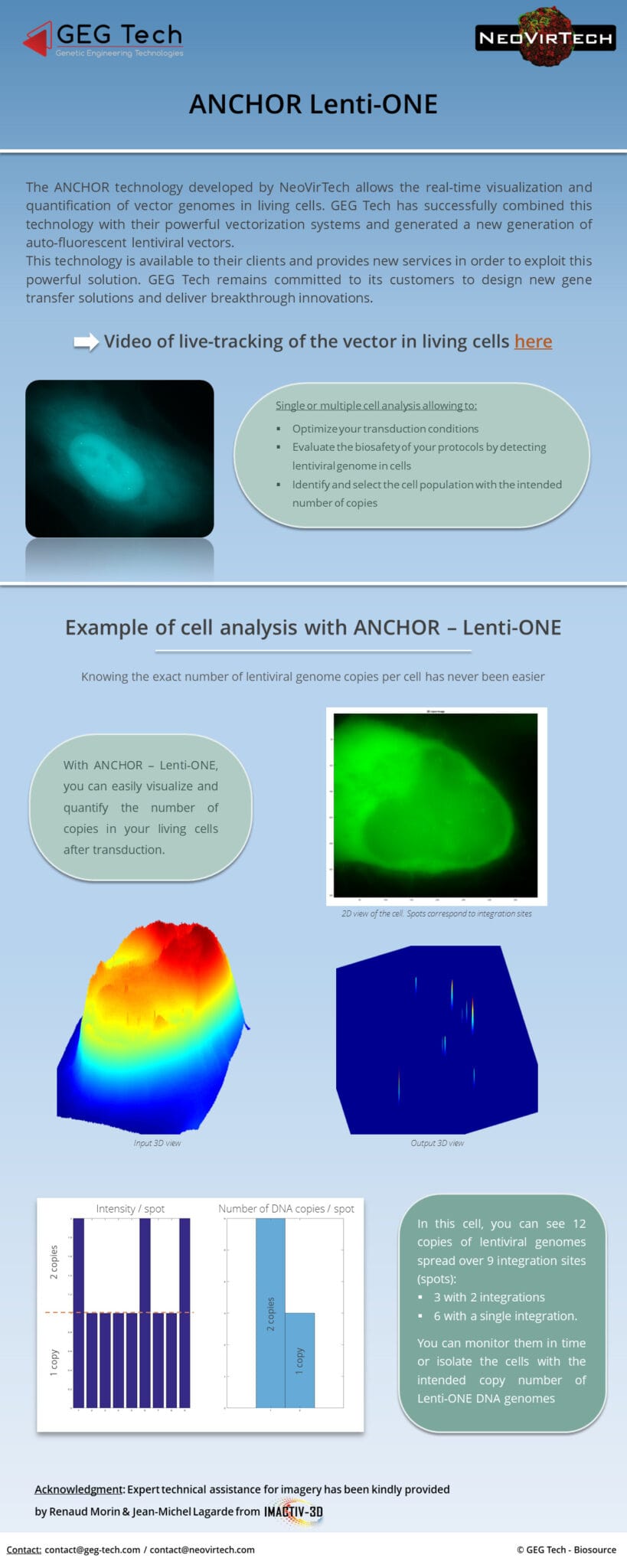 Ready-to-use vectors -