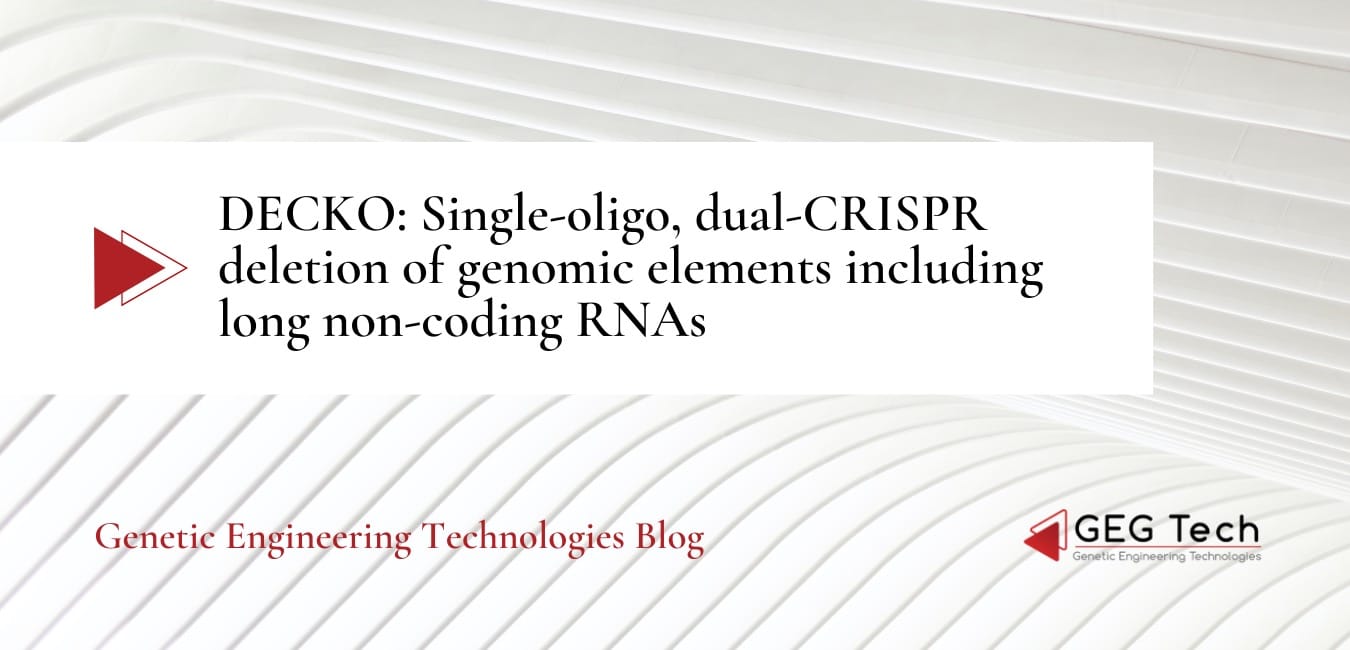 DECKO: Single-oligo, dual-CRISPR deletion of genomic elements including long non-coding RNAs 7 - GEG Tech DECKO: Single-oligo, dual-CRISPR deletion of genomic elements including long non-coding RNAs - Gene editing