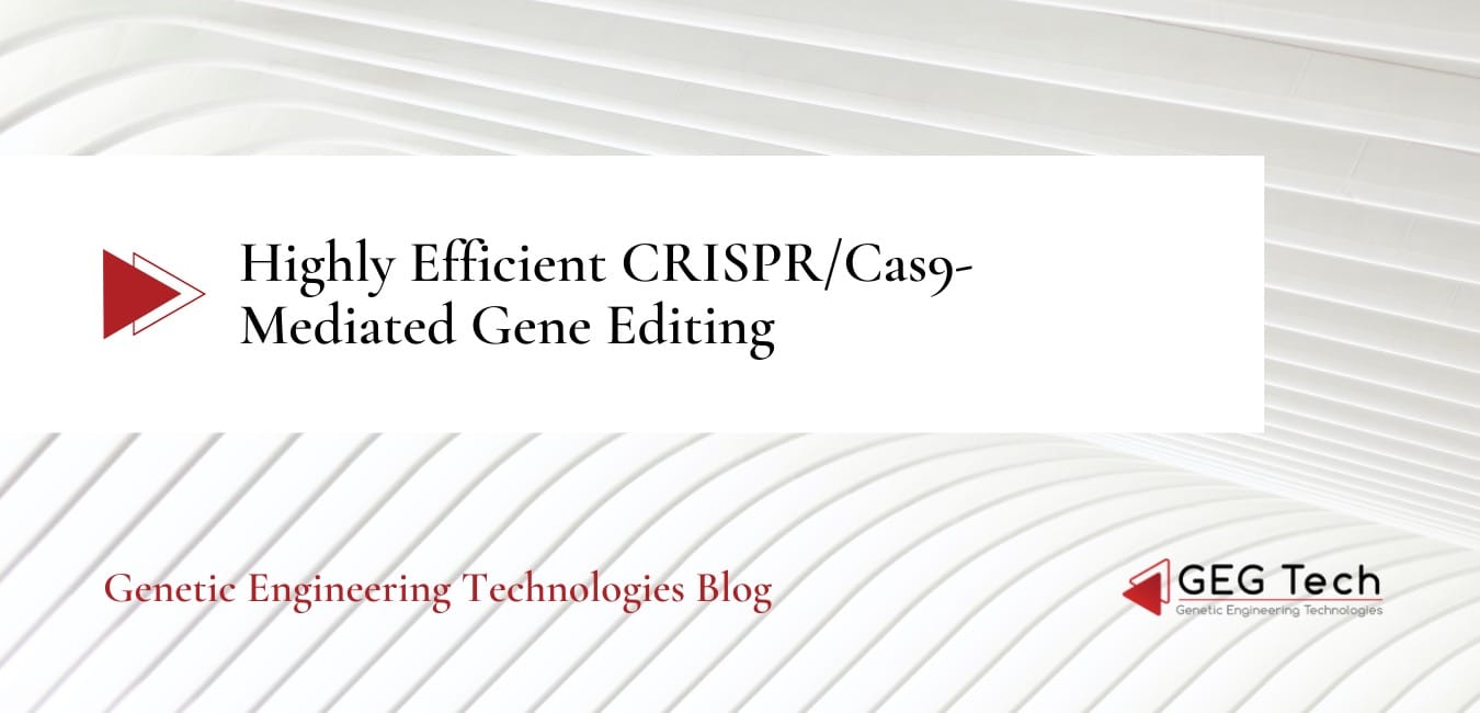Highly Efficient CRISPR/Cas9-Mediated Gene Editing 3 - GEG Tech Highly Efficient CRISPR/Cas9-Mediated Gene Editing - Gene editing