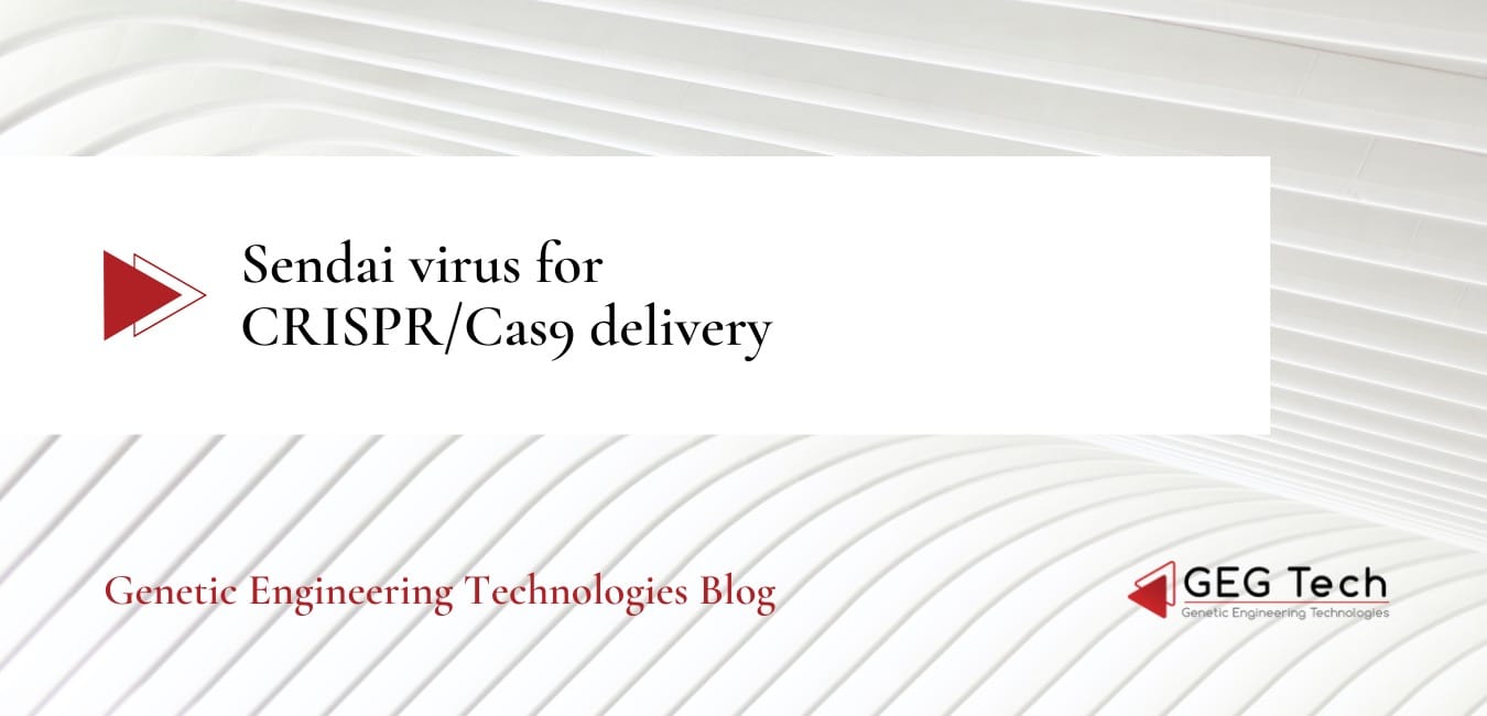 Sendai virus for CRISPR/Cas9 delivery 5 - GEG Tech Sendai virus for CRISPR/Cas9 delivery - Gene editing