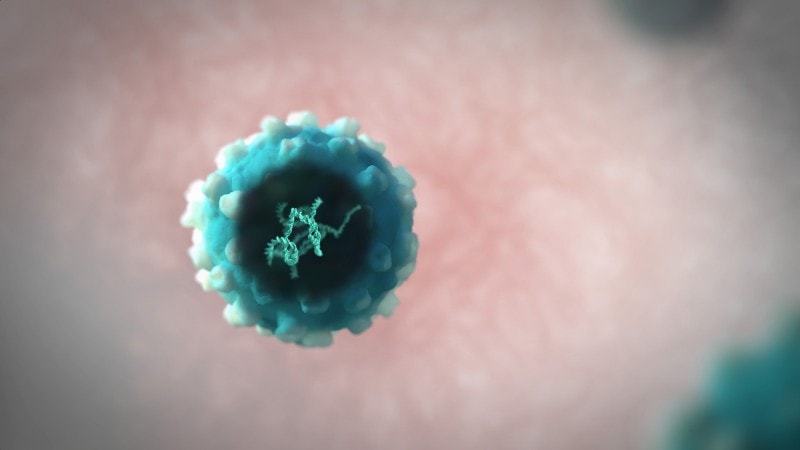 First CAR-T therapy to target BCMA gets FDA nod - Nature 1 - GEG Tech First CAR-T therapy to target BCMA gets FDA nod - Nature - Blog, Cancer immunotherapy