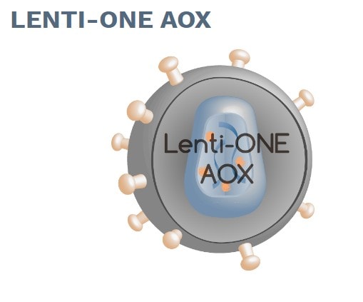 Alternative oxidase (AOX) 1 - GEG Tech Alternative oxidase (AOX) - Blog, Vectorology