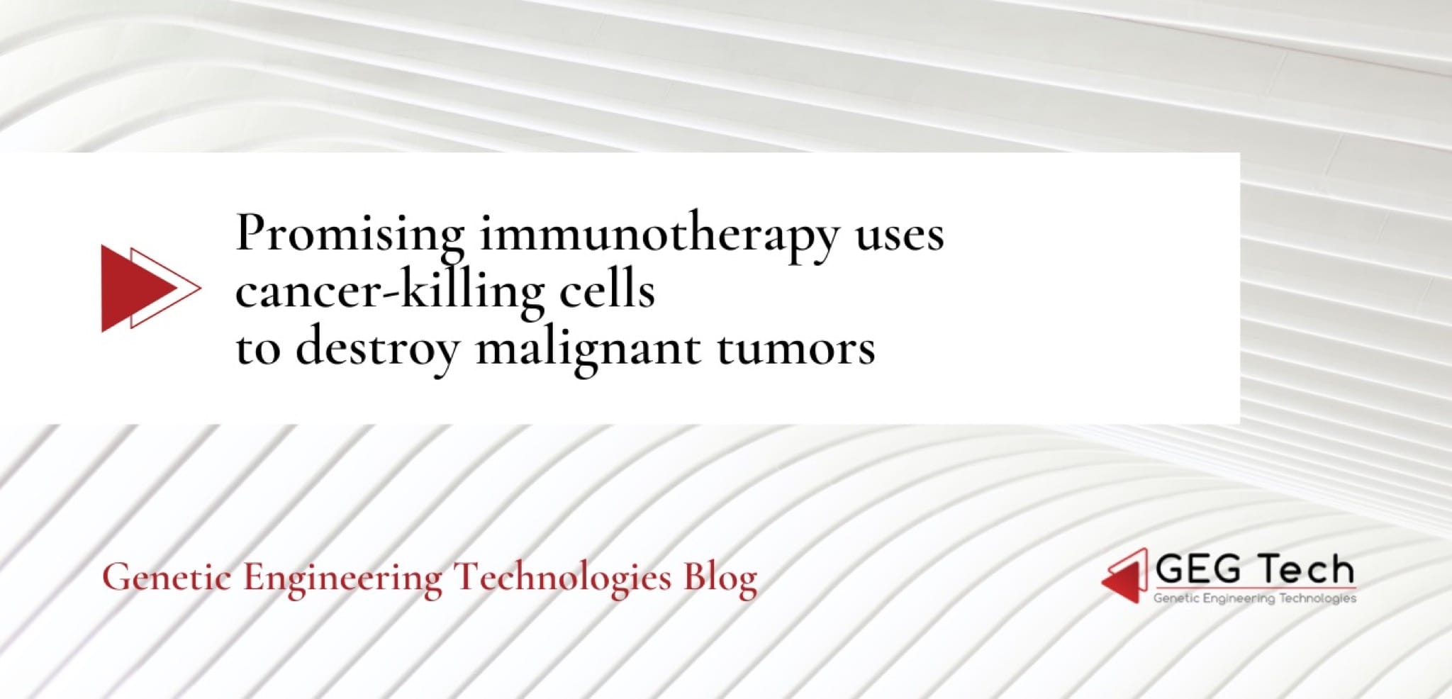 Promising immunotherapy uses cancer-killing cells to destroy malignant tumors 2 - GEG Tech Promising immunotherapy uses cancer-killing cells to destroy malignant tumors - Cancer immunotherapy