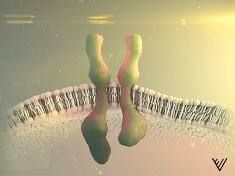 T-knife - unleashing T-cell receptors on cancer - Nature 1 - GEG Tech T-knife - unleashing T-cell receptors on cancer - Nature - Blog, Cancer immunotherapy