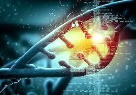CRISPR/Cas9 gRNA activity depends on&nbsp;free energy changes and on the target PAM context | Nature Communications - Blog