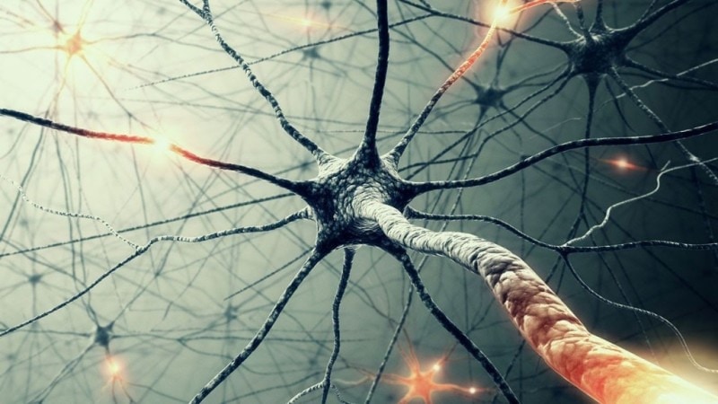 Blood-brain barrier–penetrating single CRISPR-Cas9 nanocapsules for effective and safe glioblastoma gene therapy 1 - GEG Tech Blood-brain barrier–penetrating single CRISPR-Cas9 nanocapsules for effective and safe glioblastoma gene therapy - Blog