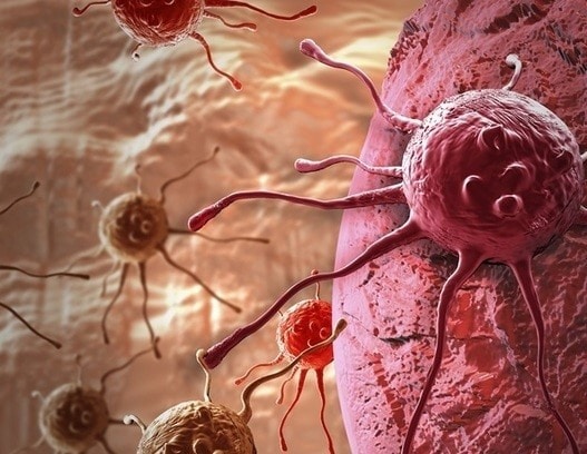 MaxCyte signs strategic platform license with LG Chem to advance its allogeneic CAR-T programs 1 - GEG Tech MaxCyte signs strategic platform license with LG Chem to advance its allogeneic CAR-T programs - Blog
