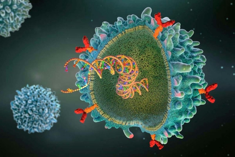 Radical lupus treatment uses CAR T-cell therapy developed for cancer 1 - GEG Tech Radical lupus treatment uses CAR T-cell therapy developed for cancer - Blog