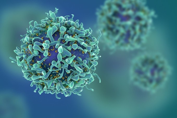 New type of immunotherapy effective in mice with ovarian cancer 1 - GEG Tech New type of immunotherapy effective in mice with ovarian cancer - Blog