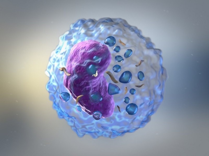 Study focuses on new approach that delivers a "one-two punch" to help T cells attack solid tumors - Blog
