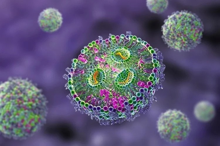 Delivering the next generation of cancer immunotherapies with RNA - Cell&nbsp; - Blog