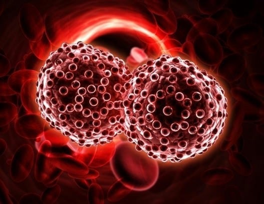 Study raises new hopes for blood cancer patients with an incomplete response to CAR T cell therapy 1 - GEG Tech Study raises new hopes for blood cancer patients with an incomplete response to CAR T cell therapy - Blog
