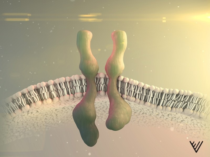 New project aims to improve the efficacy and safety of CAR T therapies for solid tumors 1 - GEG Tech New project aims to improve the efficacy and safety of CAR T therapies for solid tumors - Blog