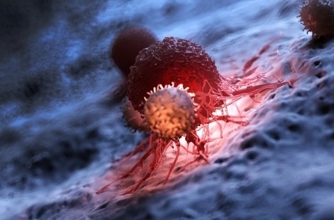 New CAR T cell therapy approach minimizes severe side effects - Blog