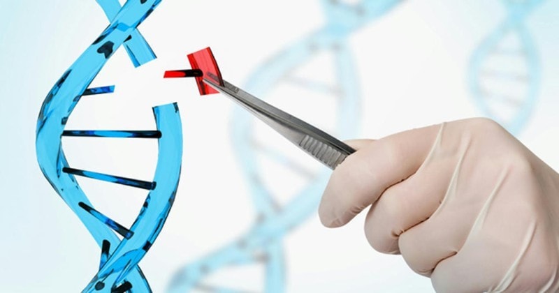 Partnership to develop gene editing therapies for neurological, muscular diseases 1 - GEG Tech Partnership to develop gene editing therapies for neurological, muscular diseases - Blog