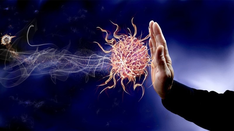 St. Jude scientists discover potential CAR T cell therapy target for brain and solid tumors - Blog