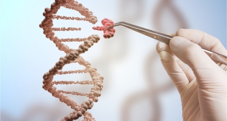 New DNA recombination toolbox surpasses CRISPR for genome engineering 1 - GEG Tech New DNA recombination toolbox surpasses CRISPR for genome engineering - Blog