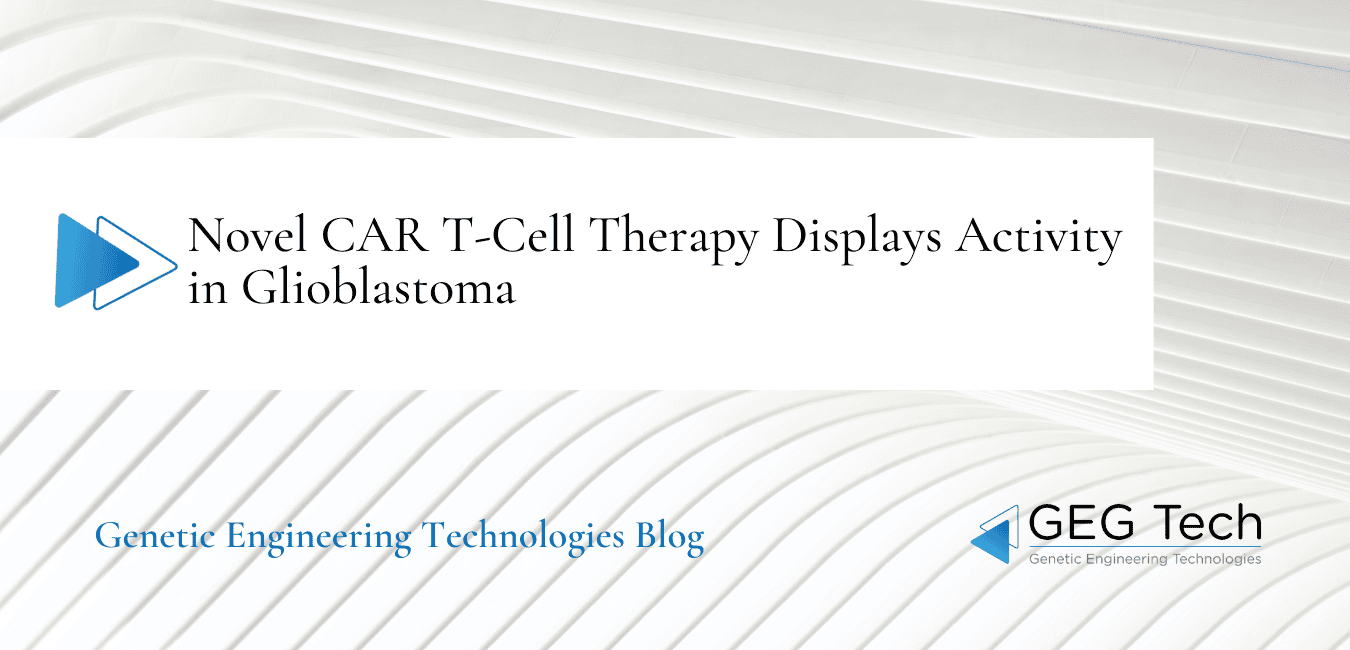 Novel CAR T-Cell Therapy Displays Activity in Glioblastoma 9 - GEG Tech Novel CAR T-Cell Therapy Displays Activity in Glioblastoma - Blog