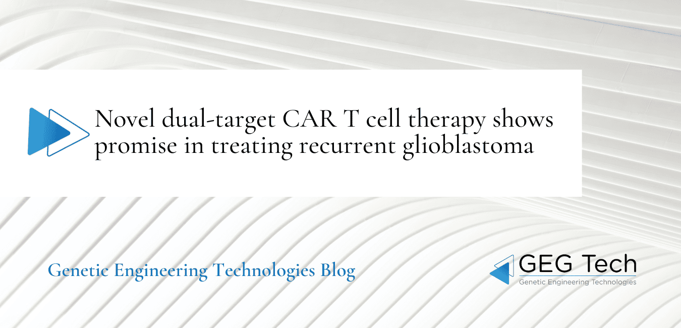 Novel dual-target CAR T cell therapy shows promise in treating recurrent glioblastoma 1 - GEG Tech Novel dual-target CAR T cell therapy shows promise in treating recurrent glioblastoma - Blog