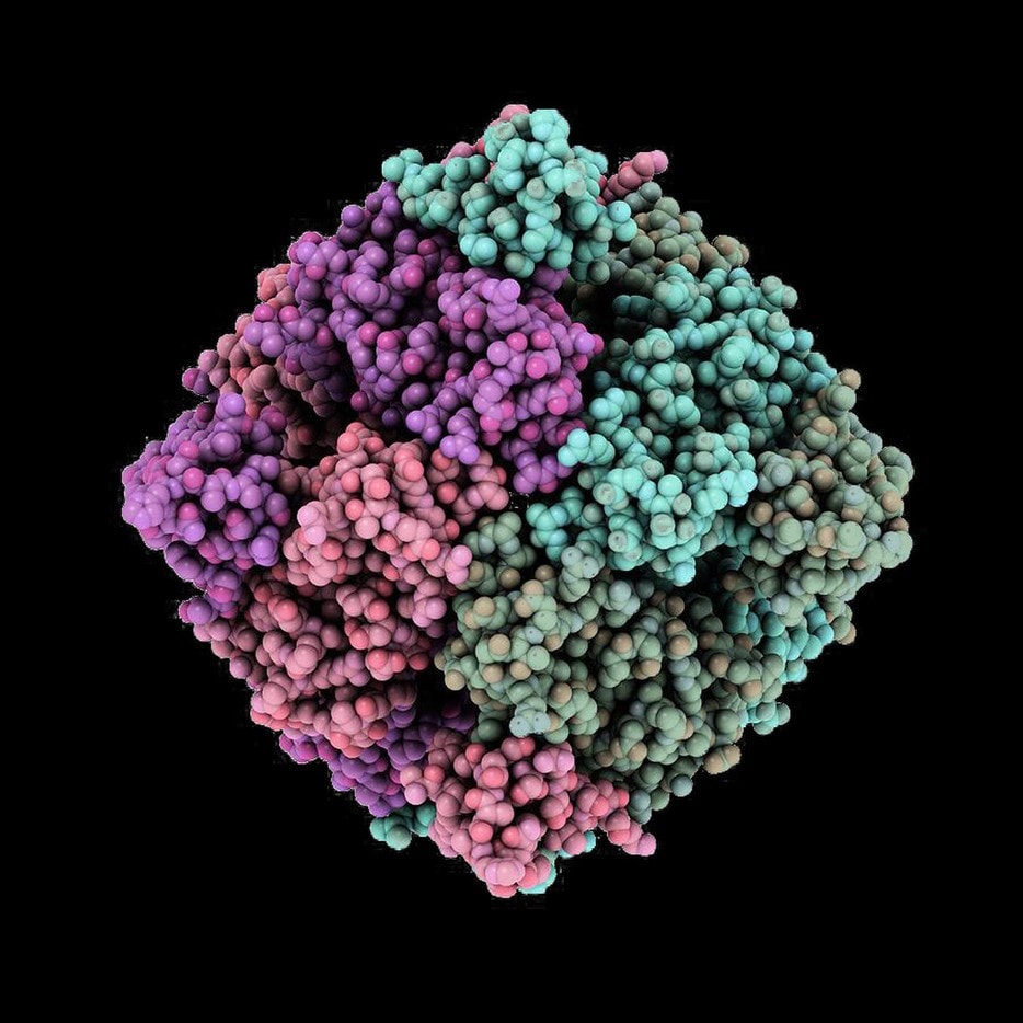 Miniaturized CRISPR protein opens door for gene therapy with adeno-associated virus 1 - GEG Tech Miniaturized CRISPR protein opens door for gene therapy with adeno-associated virus - Blog