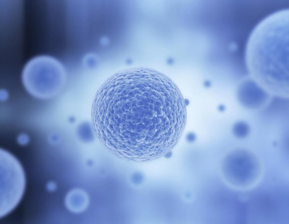 NK cells' role in cancer therapy resistance unveiled 1 - GEG Tech NK cells' role in cancer therapy resistance unveiled - Blog