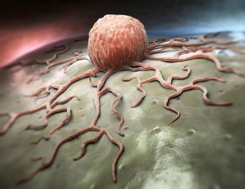 CD5 knockout using CRISPR boosts CAR T cell therapy efficacy - Blog