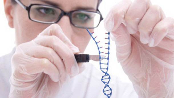 Prime Editing Corrects Cystic Fibrosis Mutation 1 - GEG Tech Prime Editing Corrects Cystic Fibrosis Mutation - Blog