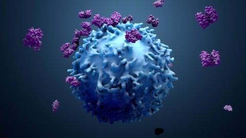 New platform mimics immune interactions to boost cancer treatment - Blog