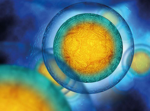 Barcoding small extracellular vesicles with new CRISPR-based system 1 - GEG Tech Barcoding small extracellular vesicles with new CRISPR-based system - Blog