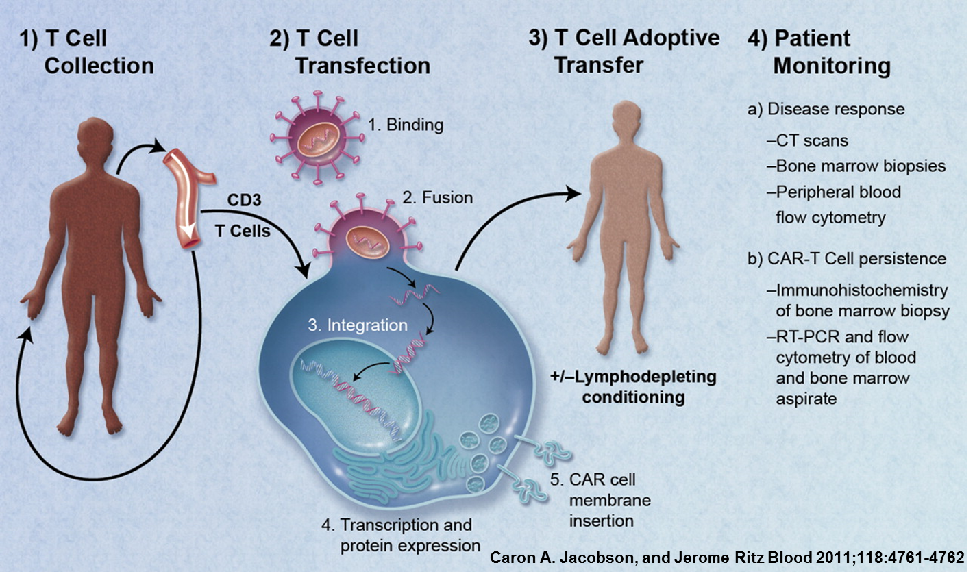 immuno