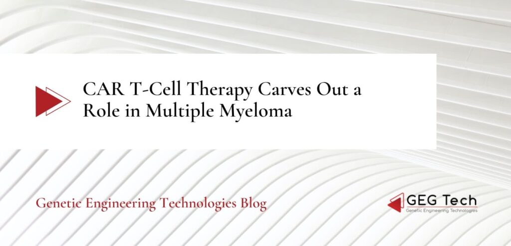 CAR T-Cell Therapy Carves Out a Role in Multiple Myeloma - Blog