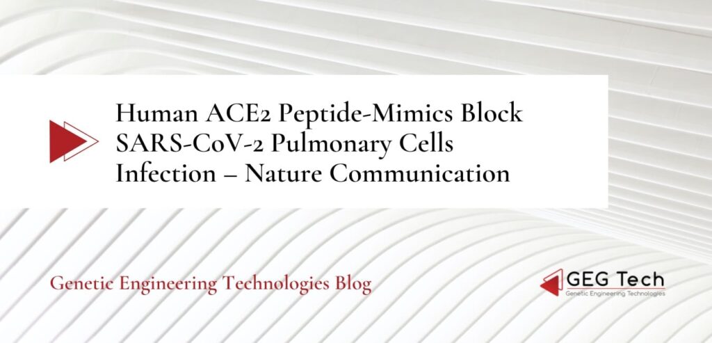 Human ACE2 Peptide-Mimics Block SARS-CoV-2 Pulmonary Cells Infection - Nature Communication - Blog